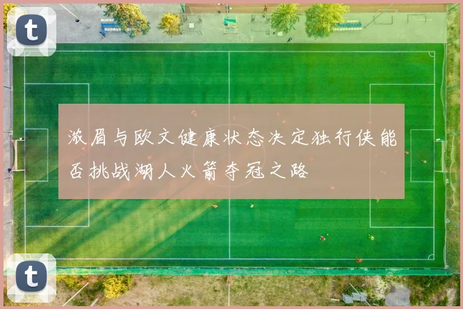 浓眉与欧文健康状态决定独行侠能否挑战湖人火箭夺冠之路