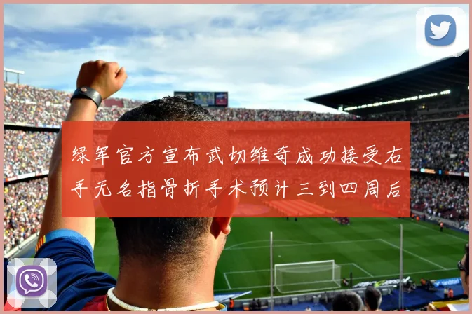 绿军官方宣布武切维奇成功接受右手无名指骨折手术预计三到四周后复查