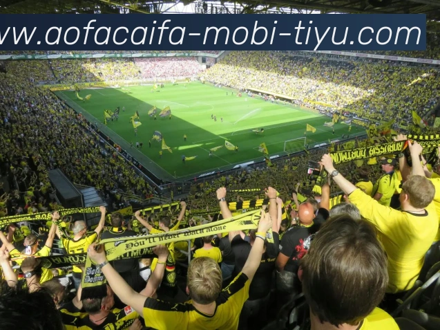 大发彩票发展历程